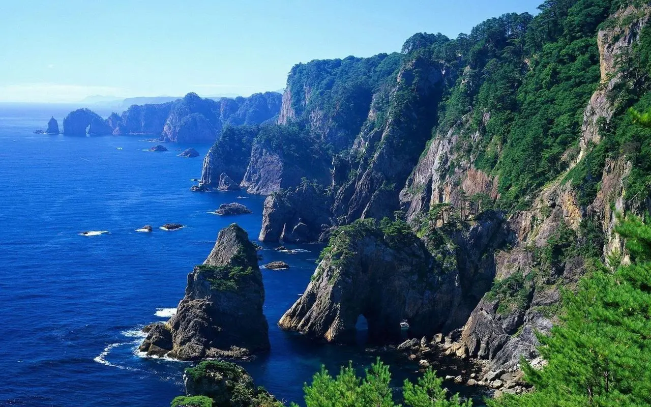 高标准独特独特